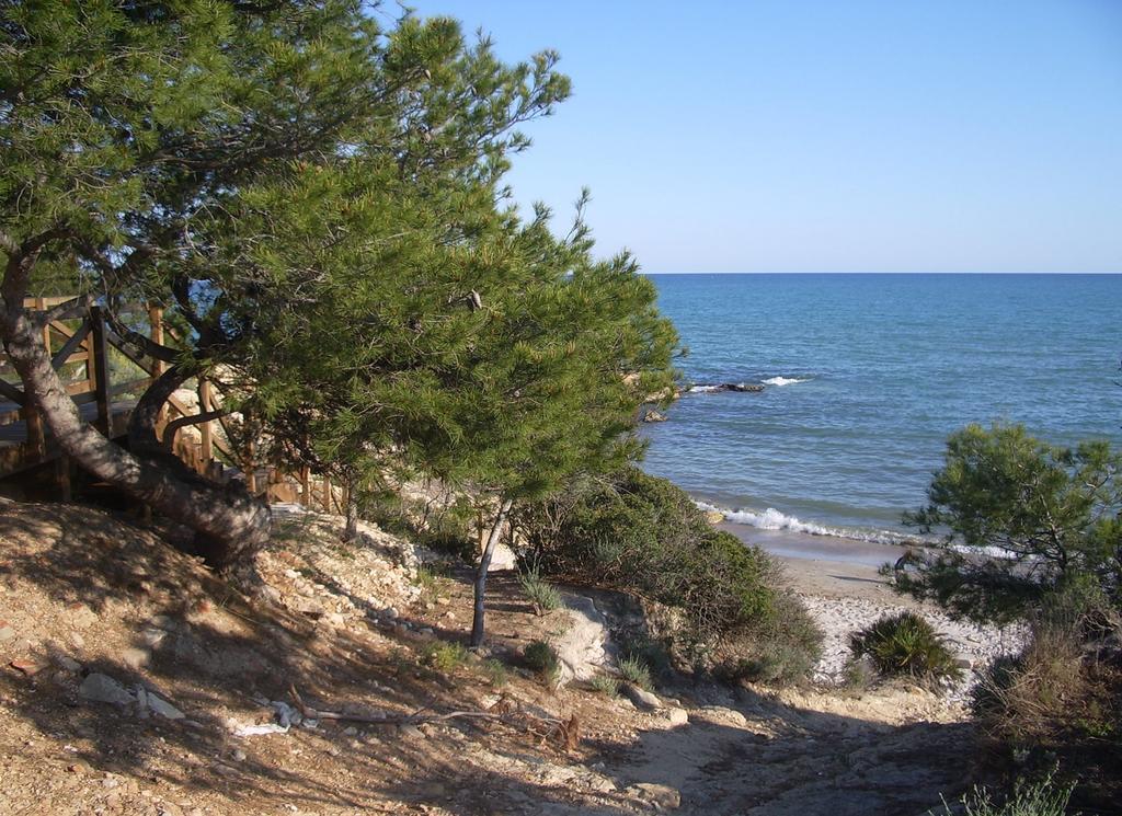 Apartamentos Marineu San Damian Playa Cargador Alcossebre Εξωτερικό φωτογραφία